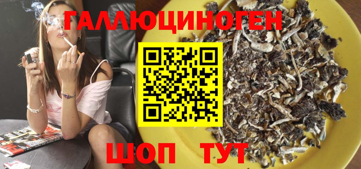 Петрозаводск  Галлюциногенные грибы GOLDEN TEACHER  Вход с VPN  Псилоцибиновые грибы Psilocybe 